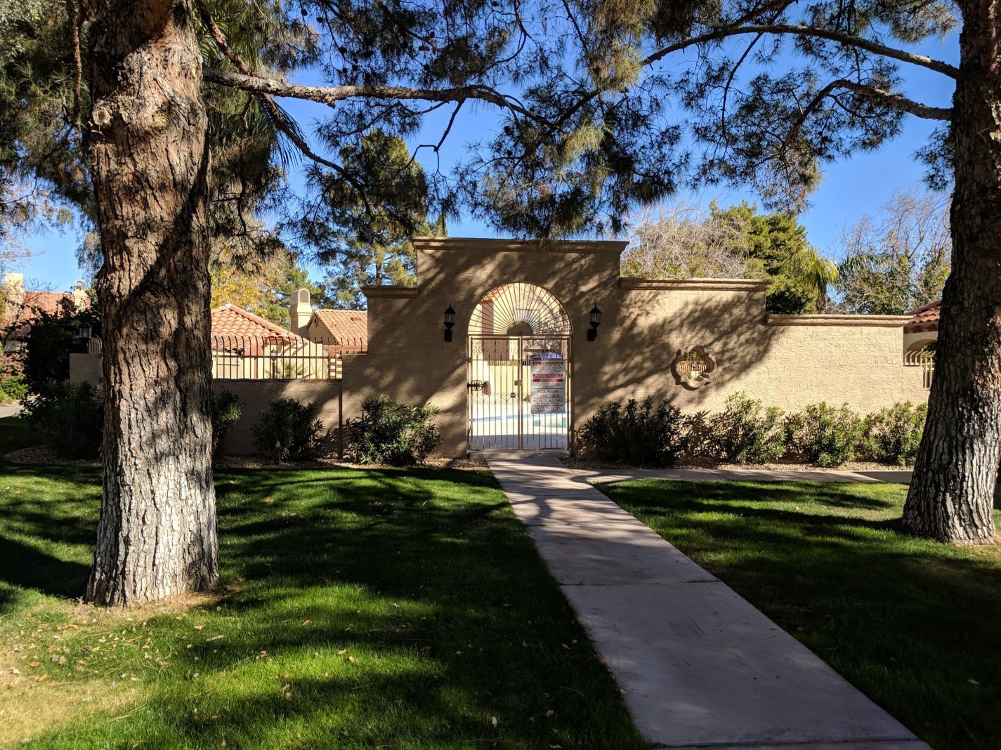 Discovery at Tatum Place