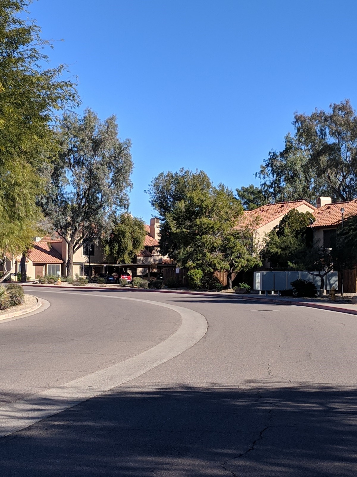 Discovery at Tatum Place