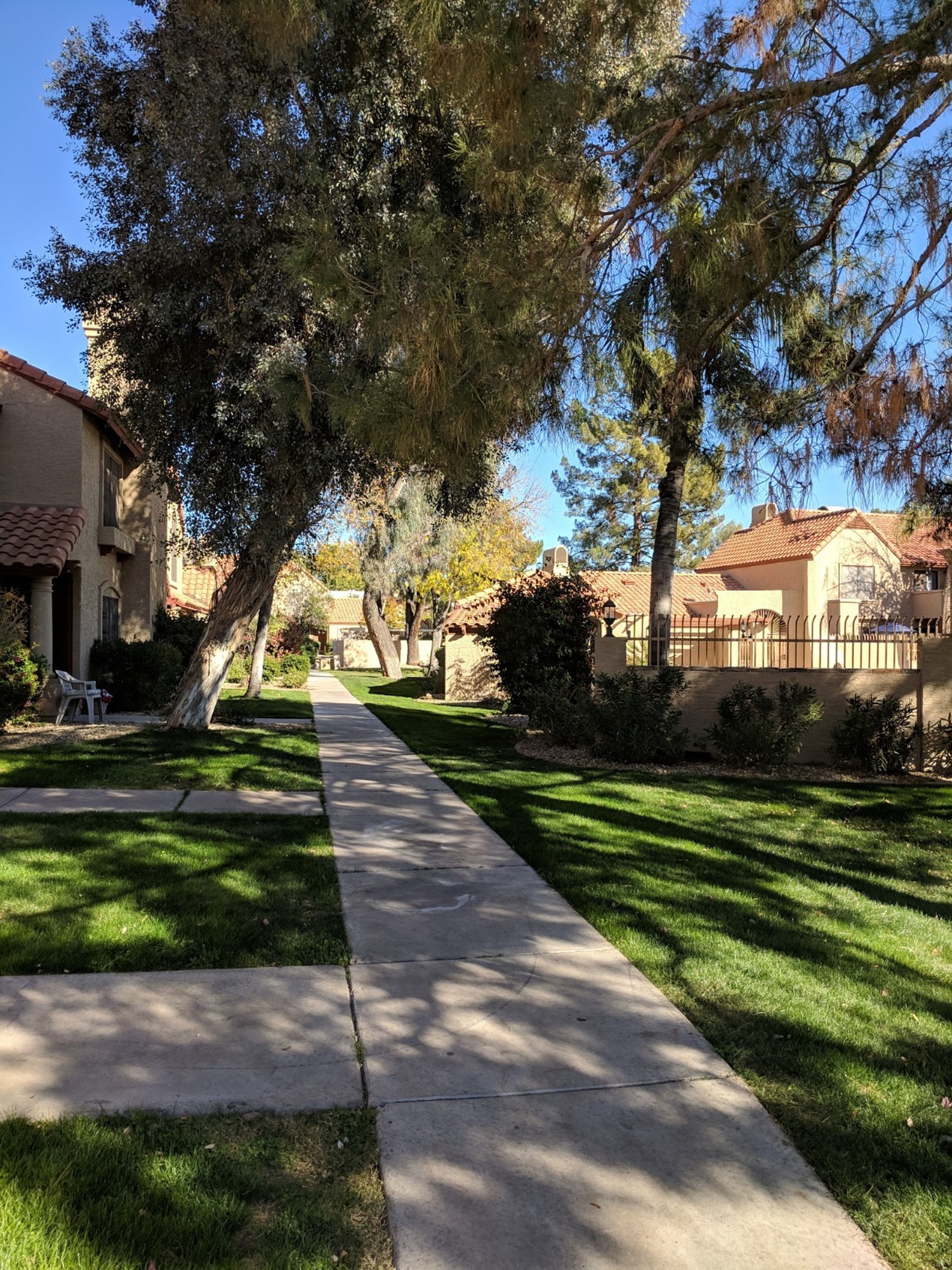 Discovery at Tatum Place