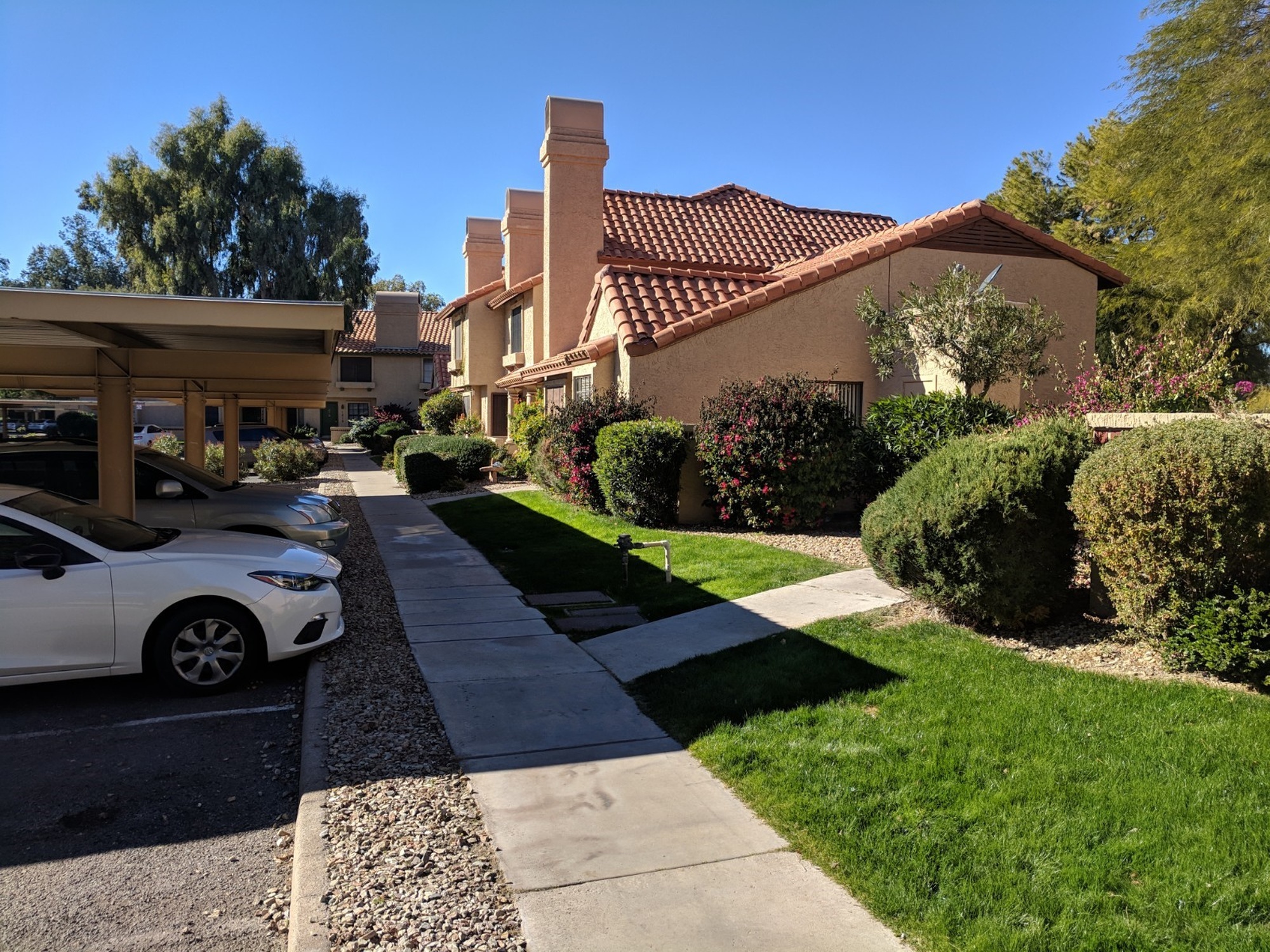 Discovery at Tatum Place