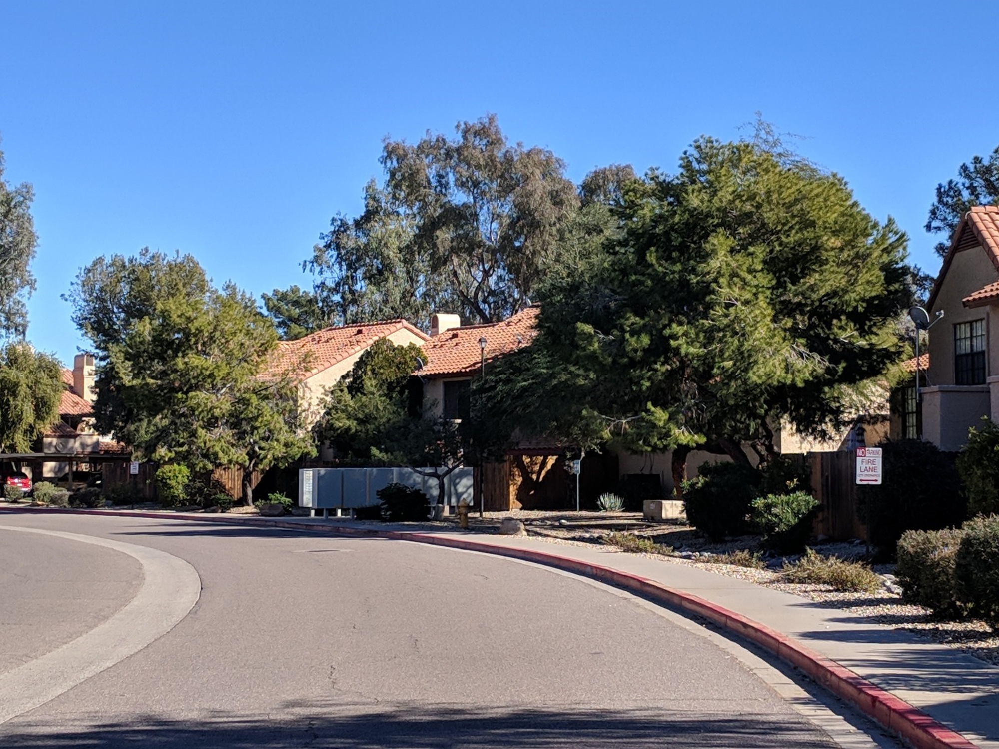 Discovery at Tatum Place