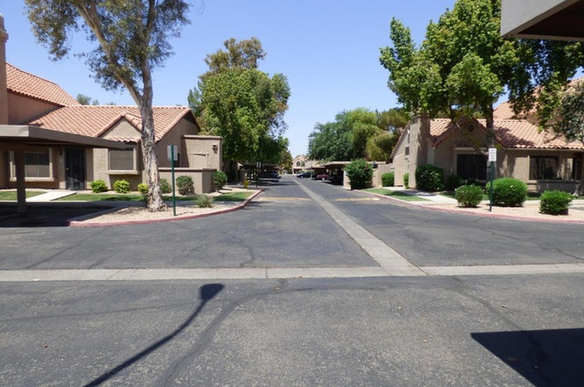 Discovery at Daybreak