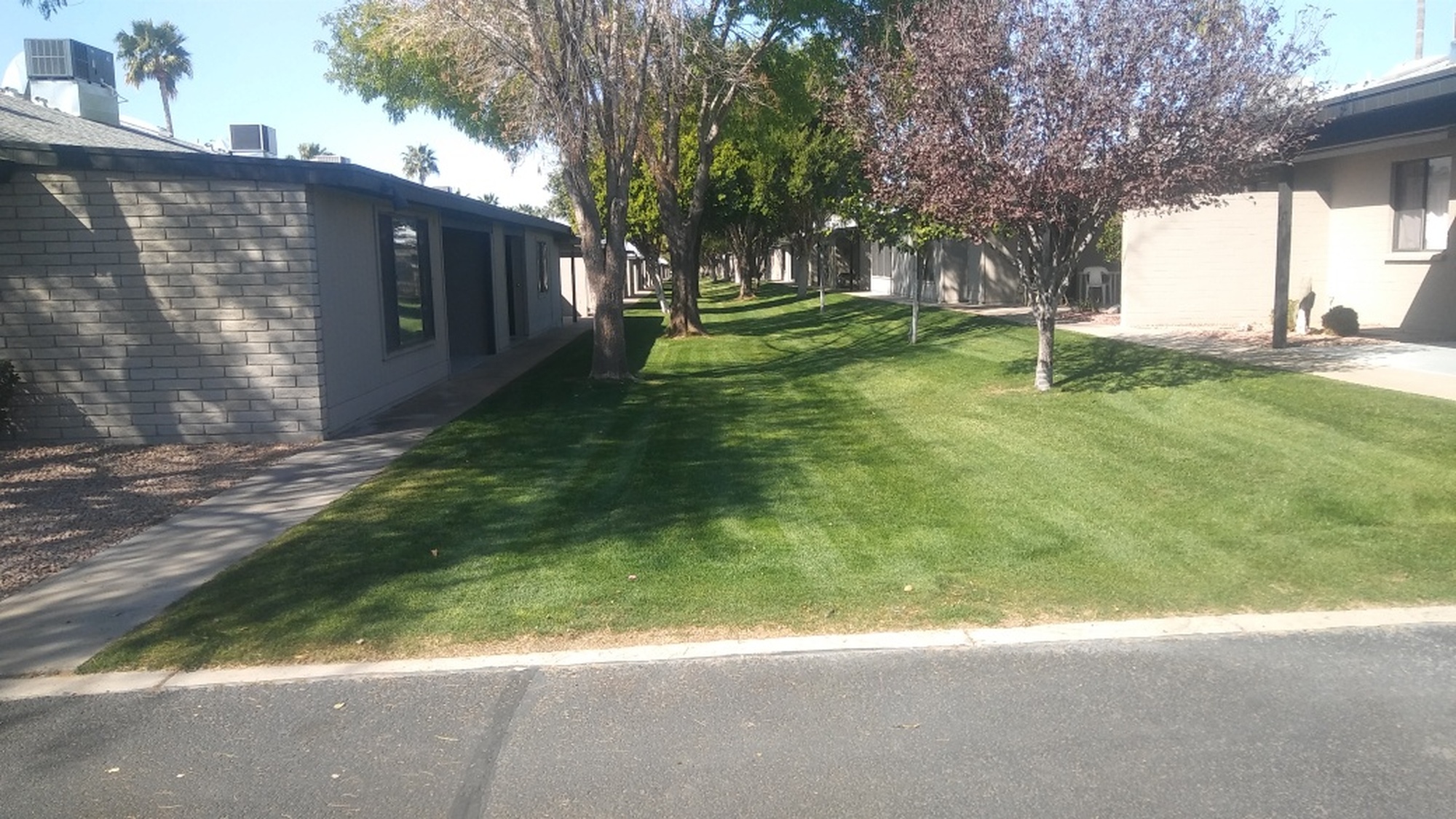 Sunland Village East Garden Condos 1 & 2