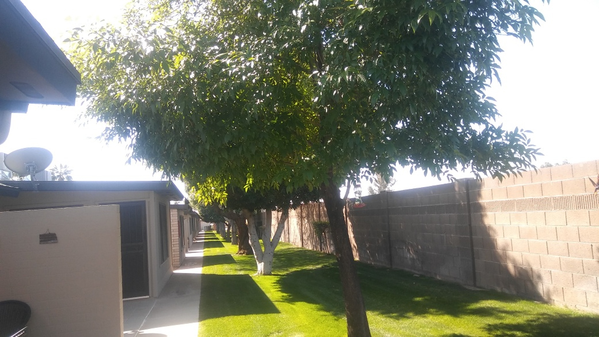 Sunland Village East Garden Condos 1 & 2